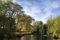 img-3933-2000x1500-800x600