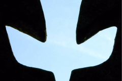 a-4-taube-negativ-1191x1149-1
