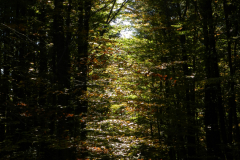 DSCN1550