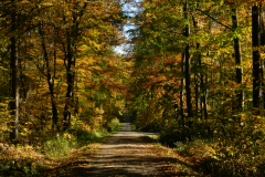 DSCN1551