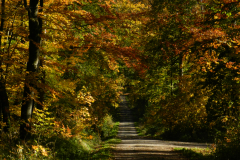 DSCN1553