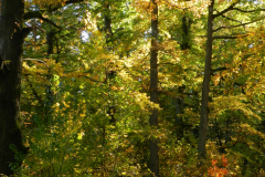 DSCN1557