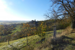 DSCN1564