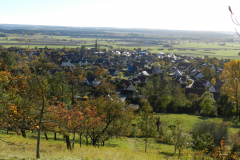 DSCN1566