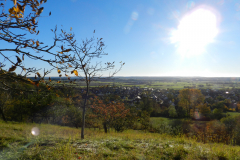 DSCN1573