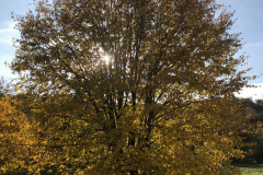 img-3999-2000x2667-800x1067