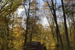 img-4011-2000x2667-800x1067