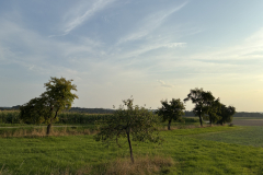 IMG_8534